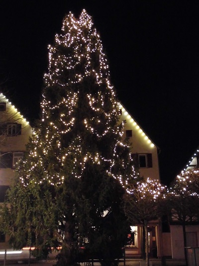Weihnachtsbaum 2020, Marktplatz